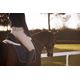 Sad-pd-sheep-dressage-h-saddle-pad-a-fs