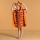 Pobb-tiger-orange-br-3-5years-3-1--3-7--1-3-ANOS