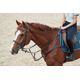 Brs-pl-eventing-h-horse-breastplate-fs-CS