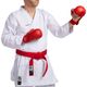 Mittens-karate-900-red-xl-G