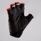 roadc-500-mits-pink-2xl4