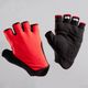 roadc-500-mits-red-l2