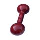 -halter-bordo-7kg-equlibrio-fitness-.