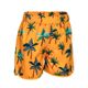 Swimshort-bb-grr-navy---96-102cm-3-4y-Amarelo-24-MESES